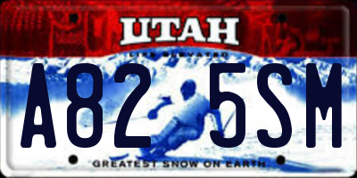 UT license plate A825SM