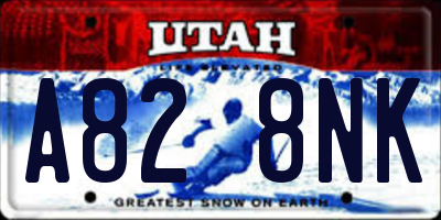 UT license plate A828NK