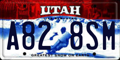UT license plate A828SM
