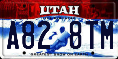 UT license plate A828TM