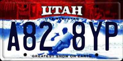 UT license plate A828YP