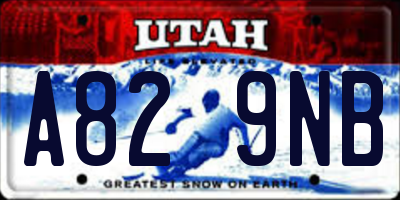 UT license plate A829NB