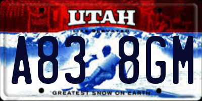 UT license plate A838GM
