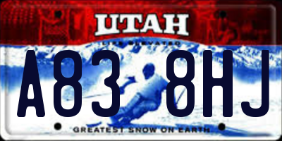 UT license plate A838HJ