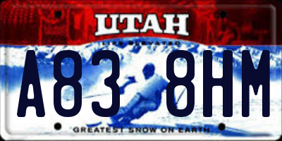 UT license plate A838HM