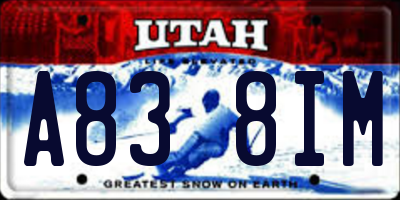 UT license plate A838IM