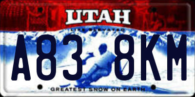 UT license plate A838KM