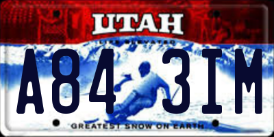 UT license plate A843IM