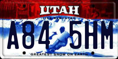 UT license plate A845HM