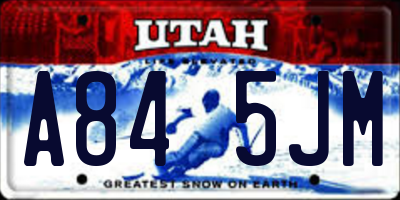 UT license plate A845JM