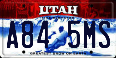 UT license plate A845MS