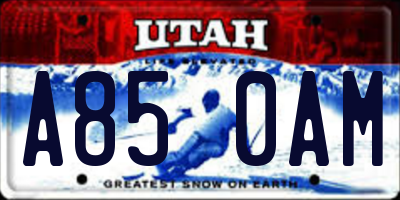 UT license plate A850AM