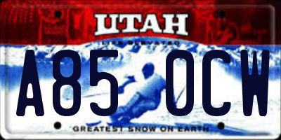 UT license plate A850CW