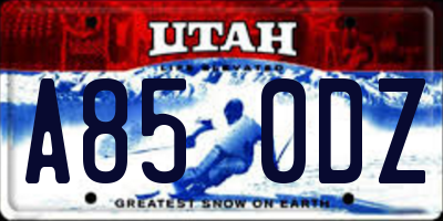 UT license plate A850DZ