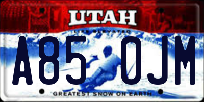 UT license plate A850JM