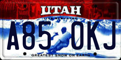 UT license plate A850KJ