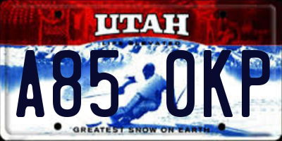 UT license plate A850KP