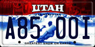 UT license plate A850OI