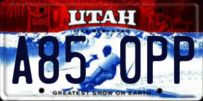 UT license plate A850PP