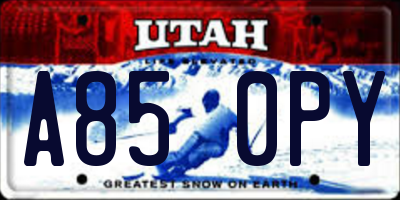 UT license plate A850PY