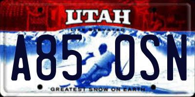 UT license plate A850SN