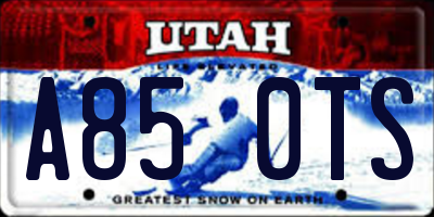 UT license plate A850TS