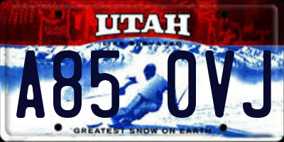 UT license plate A850VJ