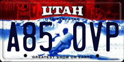 UT license plate A850VP