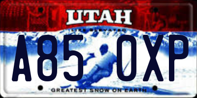 UT license plate A850XP