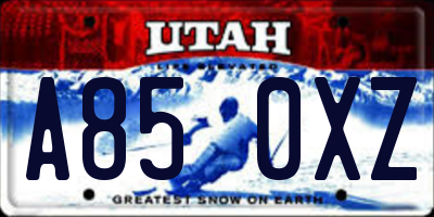 UT license plate A850XZ