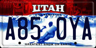 UT license plate A850YA