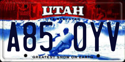 UT license plate A850YV