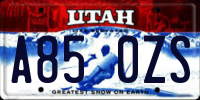 UT license plate A850ZS