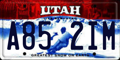 UT license plate A852IM