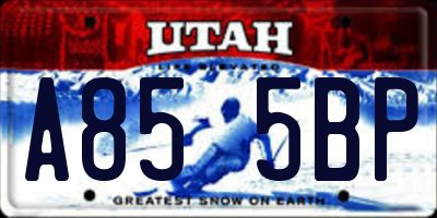 UT license plate A855BP