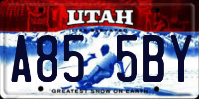 UT license plate A855BY