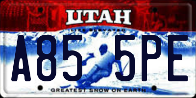 UT license plate A855PE