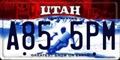 UT license plate A855PM