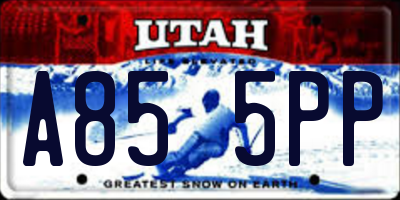 UT license plate A855PP