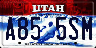 UT license plate A855SM