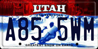 UT license plate A855WM