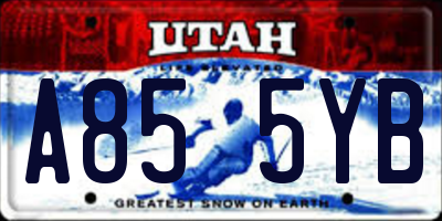 UT license plate A855YB