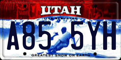 UT license plate A855YH