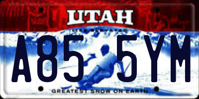 UT license plate A855YM