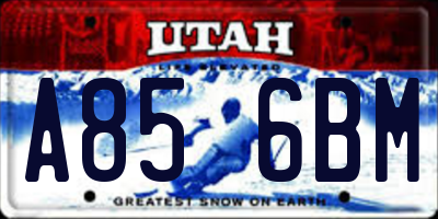 UT license plate A856BM