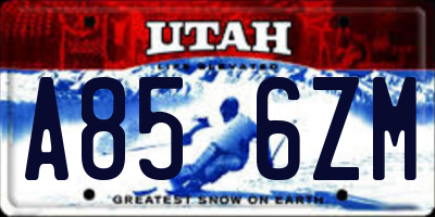 UT license plate A856ZM