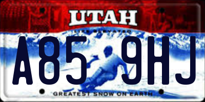 UT license plate A859HJ
