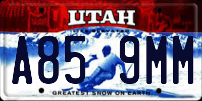 UT license plate A859MM