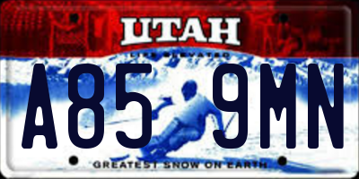 UT license plate A859MN