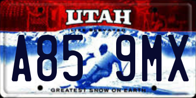UT license plate A859MX